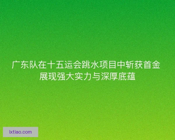 广东队在十五运会跳水项目中斩获首金 展现强大实力与深厚底蕴 广东队在十五运会跳水项目中斩获首金 展现强大实力与深厚底蕴
